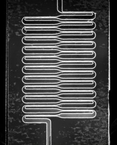 pcr