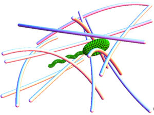 The mucin fibers that make up mucus present a complex “obstacle course” for a bacterium to navigate.