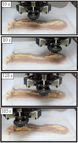 A screw-type magnetic capsule being driven through cow intestines using a permanent-magnet robotic end-effector.